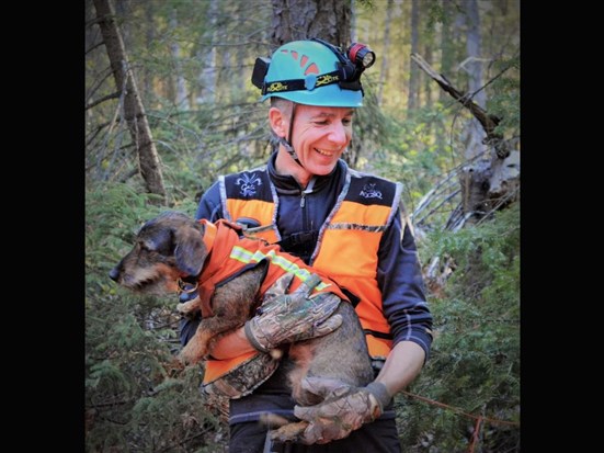 Les chiens de sang : un service essentiel et abordable