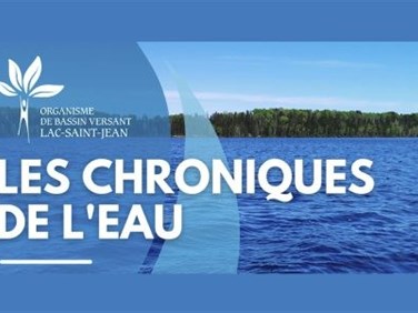 Une consultation publique sur l'eau du Lac-Saint-Jean