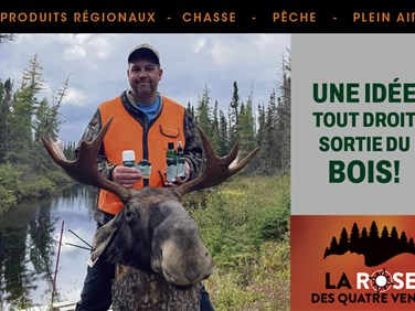 UNE IDÉE TOUT DROIT SORTIE DU BOIS!